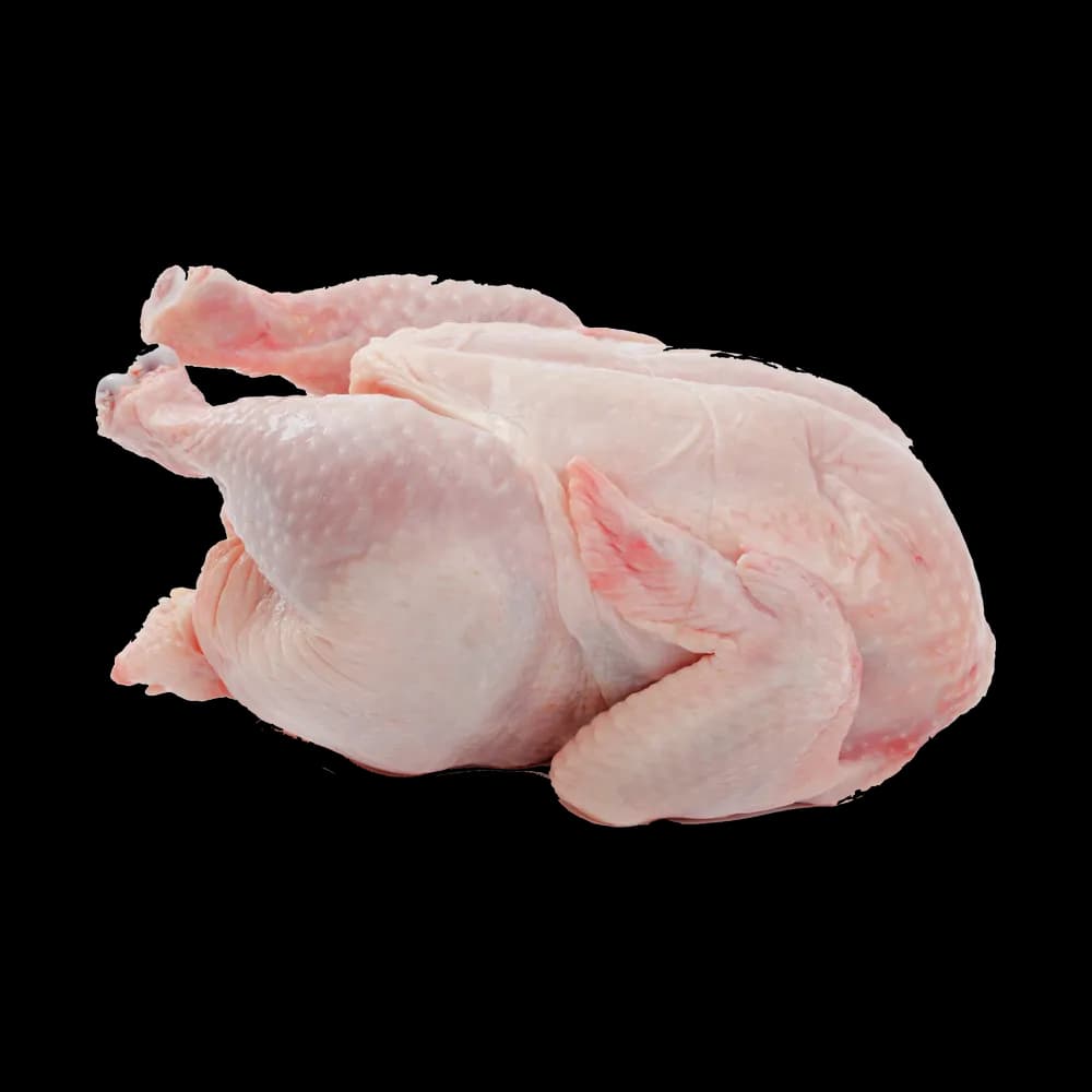 Chicken Meat