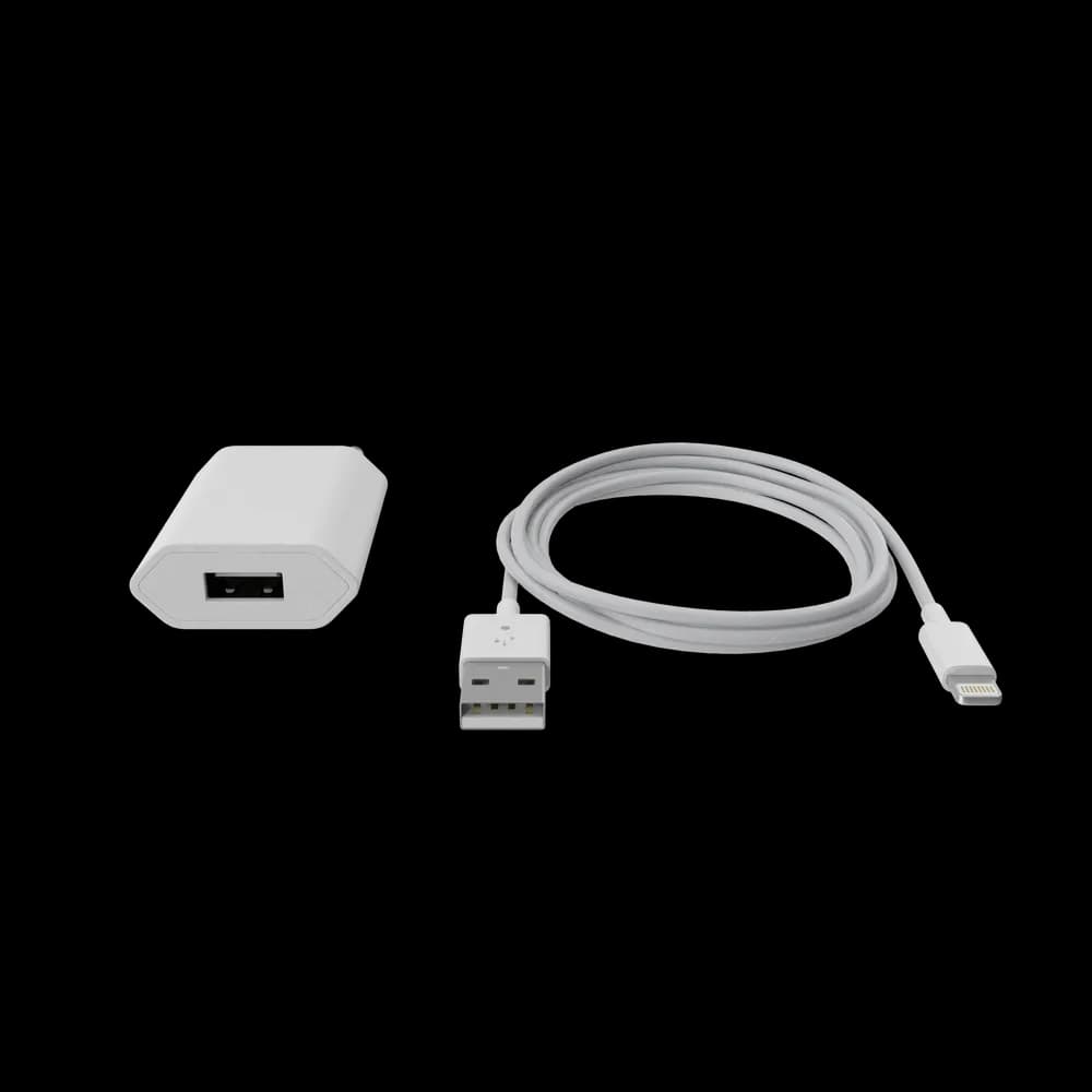 Apple iPhone Charger